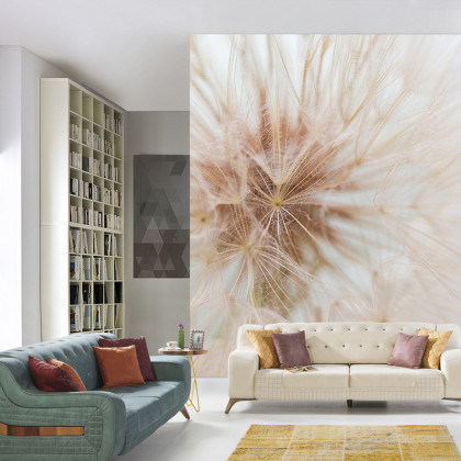 Fototapeta Dmuchawiec 3D