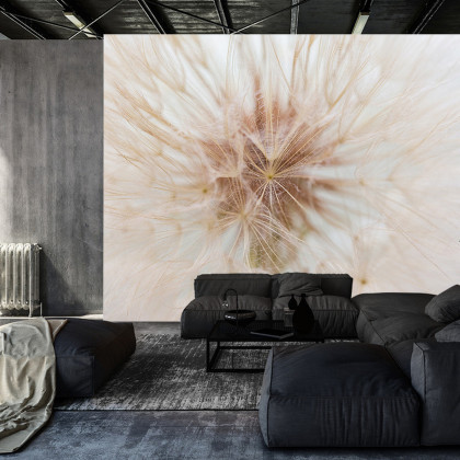Fototapeta Dmuchawiec 3D