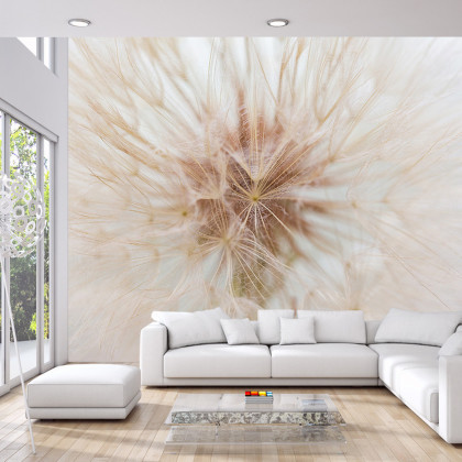 Fototapeta Dmuchawiec 3D