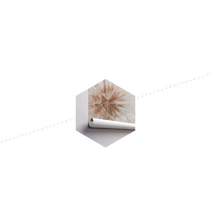 Fototapeta Dmuchawiec 3D