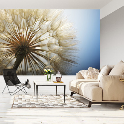 Fototapeta Dmuchawiec 3D