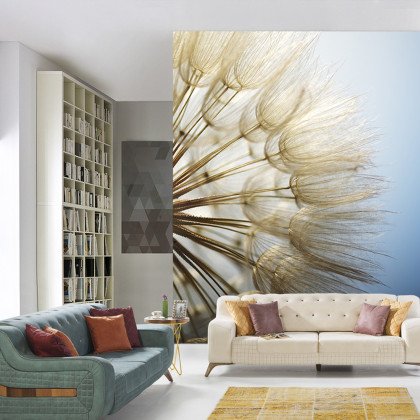 Fototapeta Dmuchawiec 3D