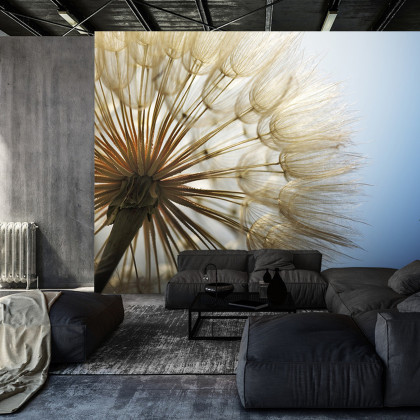 Fototapeta Dmuchawiec 3D