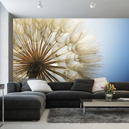 Fototapeta Dmuchawiec 3D
