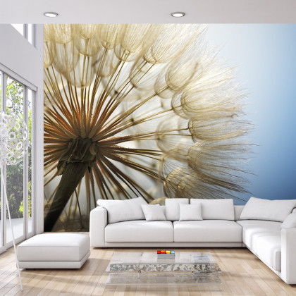 Fototapeta Dmuchawiec 3D