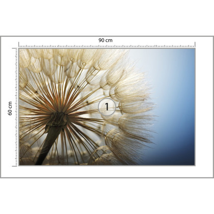 Fototapeta Dmuchawiec 3D
