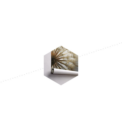 Fototapeta Dmuchawiec 3D