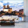 Fototapeta Paryż - Notre Dame