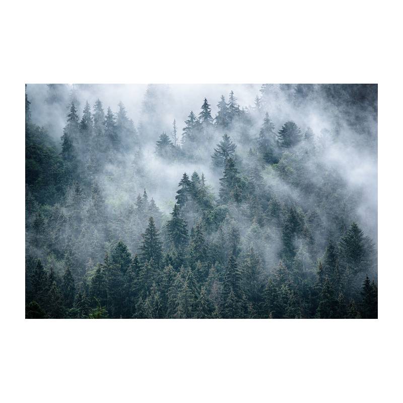 Fototapeta Mglisty Las W Górach