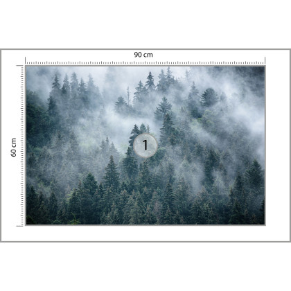 Fototapeta Mglisty Las W Górach