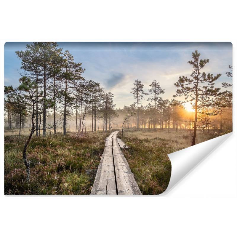 Fototapeta Drewniana Ścieżka W Lesie