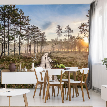 Fototapeta Drewniana Ścieżka W Lesie