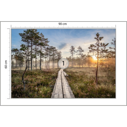 Fototapeta Drewniana Ścieżka W Lesie