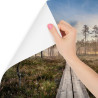 Fototapeta Drewniana Ścieżka W Lesie