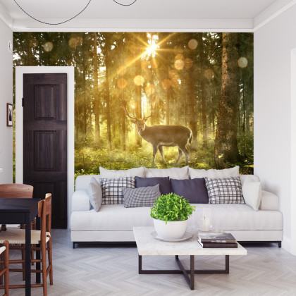 Fototapeta Jeleń O Poranku W Lesie