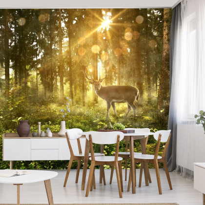 Fototapeta Jeleń O Poranku W Lesie