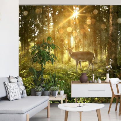 Fototapeta Jeleń O Poranku W Lesie
