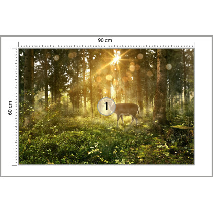 Fototapeta Jeleń O Poranku W Lesie