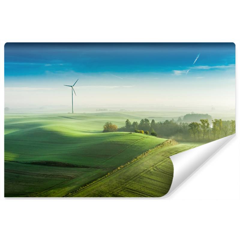 Fototapeta Widok Z Lotu Ptaka Na Zielone Pola 3D