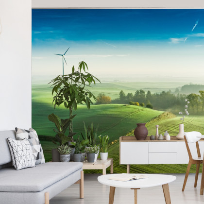 Fototapeta Widok Z Lotu Ptaka Na Zielone Pola 3D