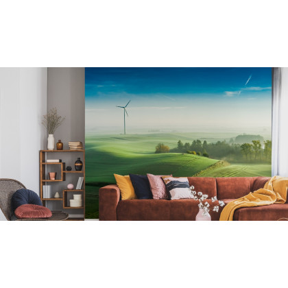 Fototapeta Widok Z Lotu Ptaka Na Zielone Pola 3D