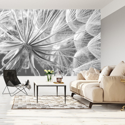 Fototapeta Dmuchawiec 3D