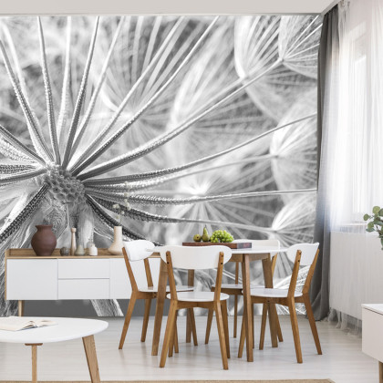 Fototapeta Dmuchawiec 3D