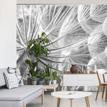Fototapeta Dmuchawiec 3D