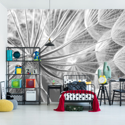 Fototapeta Dmuchawiec 3D