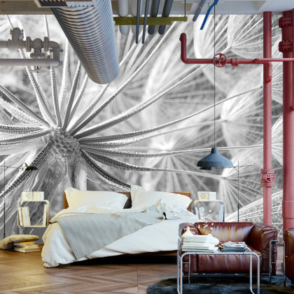 Fototapeta Dmuchawiec 3D