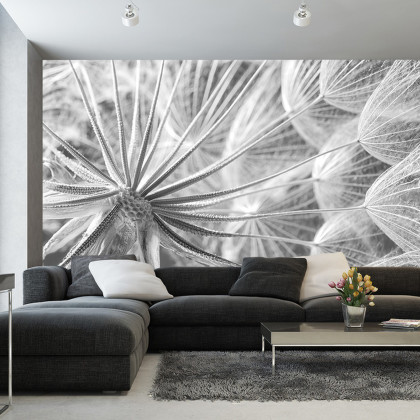 Fototapeta Dmuchawiec 3D