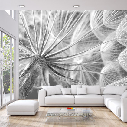 Fototapeta Dmuchawiec 3D