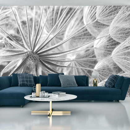 Fototapeta Dmuchawiec 3D