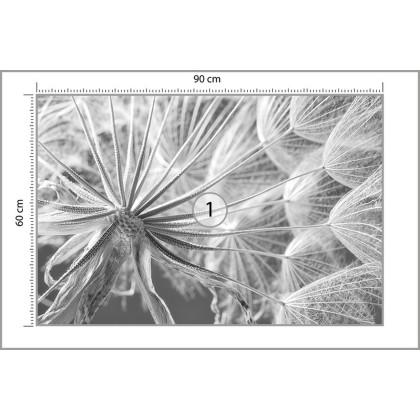 Fototapeta Dmuchawiec 3D