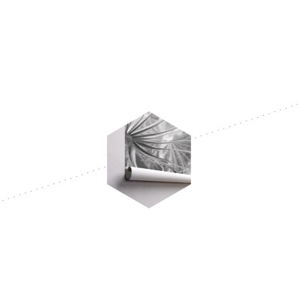 Fototapeta Dmuchawiec 3D