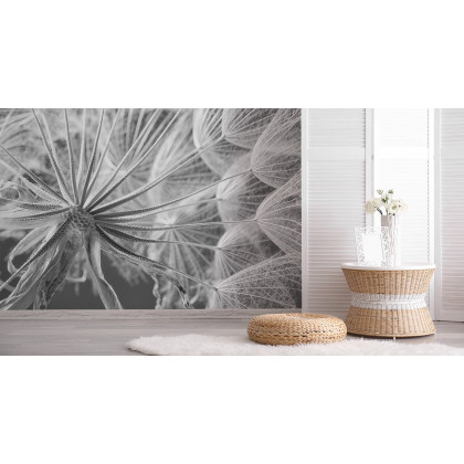 Fototapeta Dmuchawiec 3D