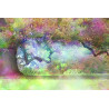 Fototapeta Magiczny Kolorowy Las