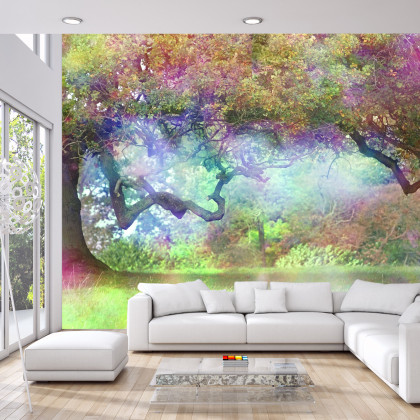 Fototapeta Magiczny Kolorowy Las
