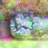 Fototapeta Magiczny Kolorowy Las