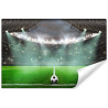 Fototapeta Piłka Nożna Stadion