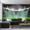 Fototapeta Piłka Nożna Stadion