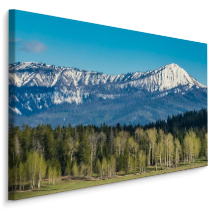Obraz Na Płótnie Park Narodowy Grand Teton W Usa