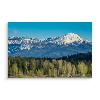 Obraz Na Płótnie Park Narodowy Grand Teton W Usa