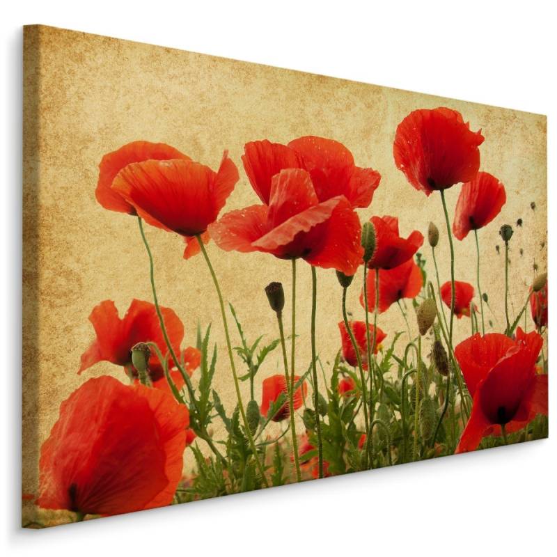 Obraz Na Płótnie Dzikie Maki W Stylu Vintage