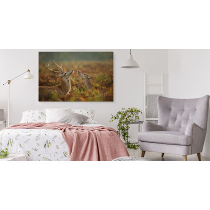Obraz Na Płótnie Jeleń Z Łanią