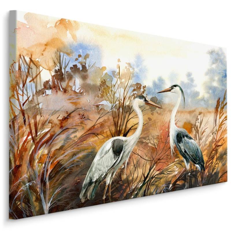 Obraz Na Płótnie Żurawie Jesienią