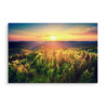 Obraz Na Płótnie Zachód Słońca Nad Leśnymi Wzgórzami