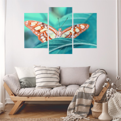 Obraz Wieloczęściowy Motyl Na Liściu W Skali Makro