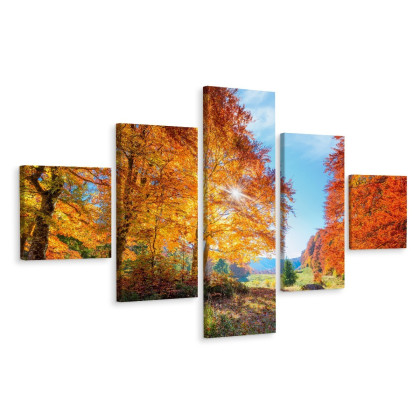 Obraz Wieloczęściowy Kolorowe Jesienne Drzewa