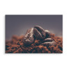Obraz Na Płótnie Zbliżenie Ziaren Kawy